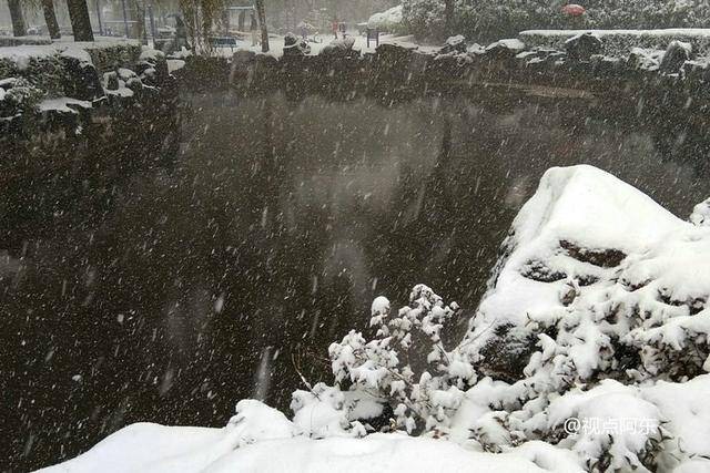 《立冬》瑞雪初下：文／李建印（陕西西安）（图5）