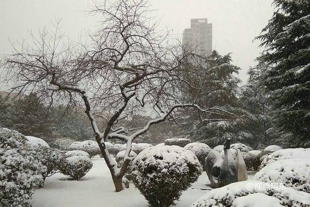 《今日立冬》立冬飘雪花：作者：李晓梅（陕西商洛）（图3）