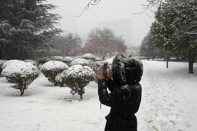 《今日立冬》立冬飘雪花：作者：李晓梅（陕西商洛）（图4）