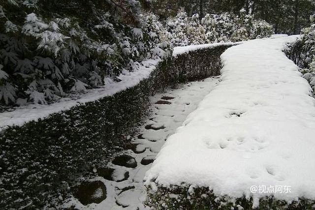 《立冬》瑞雪初下：文／李建印（陕西西安）（图11）