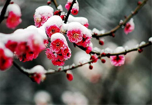 卫选民老师佳作欣赏！（图5）