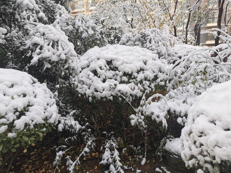 《节气》立冬初雪：文／赵翠萍，卫剑刚 ， 图片／张建超（陕西）（图15）