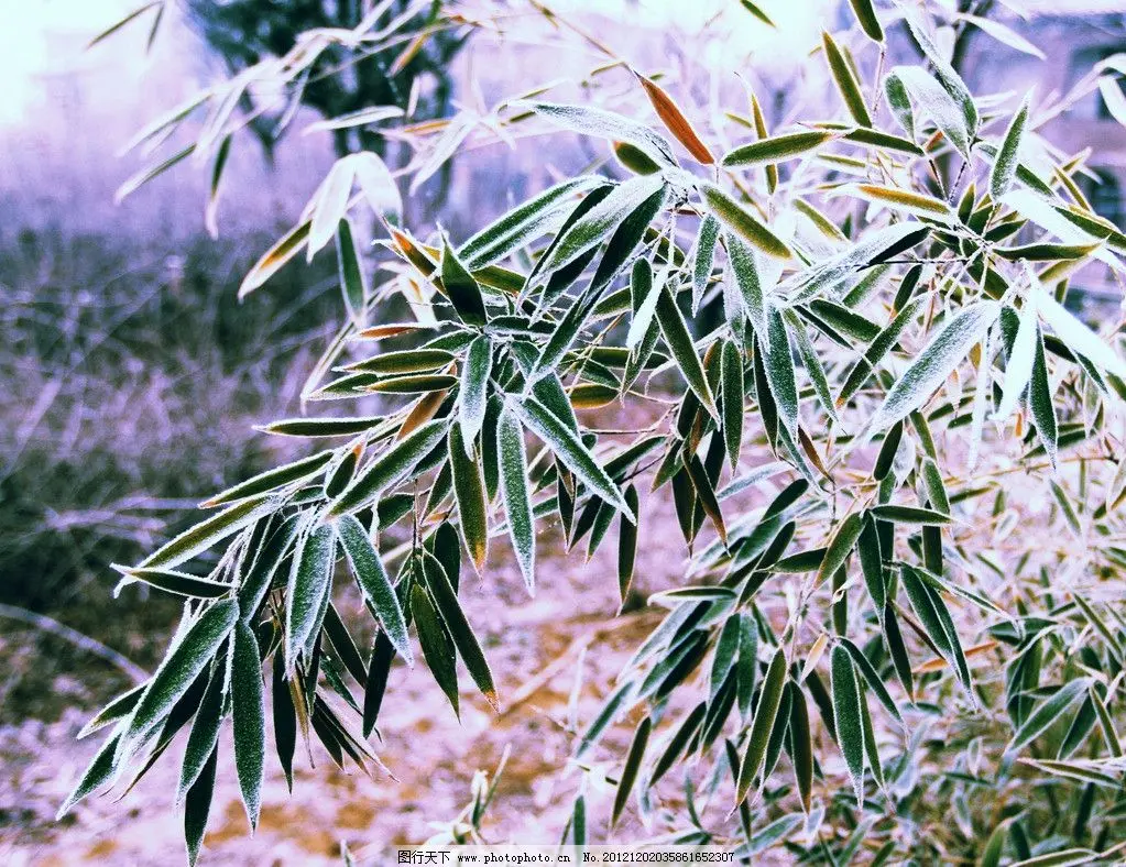 李环宇：词四首 请欣赏（图5）