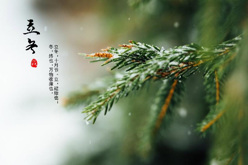 立冬专辑（八首）唐梦、南子苏、冉献良、彤星 王新华、彦忠、祥云 编辑：香乡【北疆文萃】（第017期）（图11）
