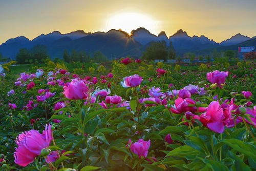 联机全球发布黄昌才精品诗歌！（图15）