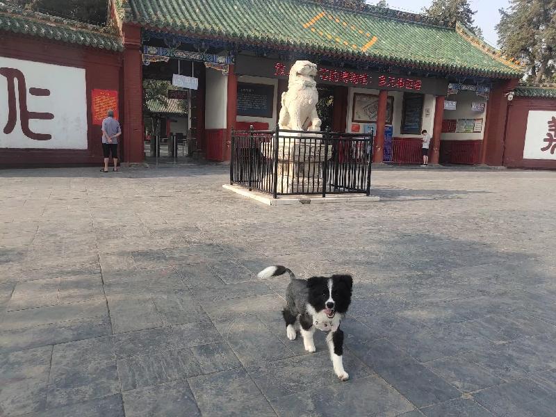 散文《宏觀》（图2）