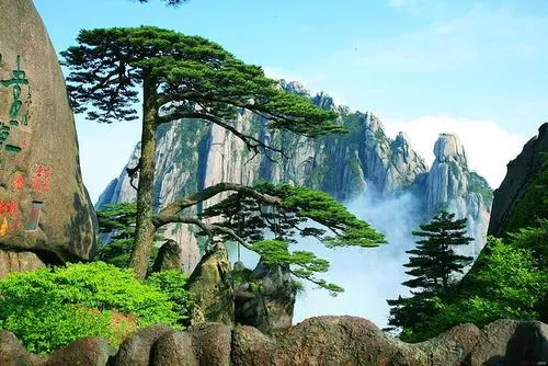 游黄山不枉此生‖诗人廖尚光（图7）