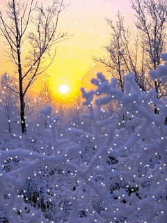 《在雪花飘飞的时候,等你》文/冬日的阳光 主播/曹钧 京津沪头条(图3)