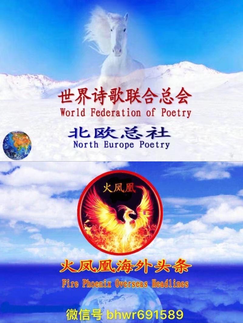 宏红老师倾情演绎(美国)卞荔莎老师的作品:温壶老酒话冬韵|北欧总社|海外头条(图8)