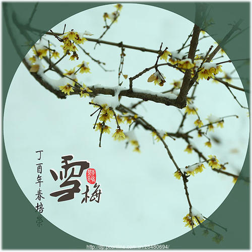 卫选民老师佳作欣赏！
