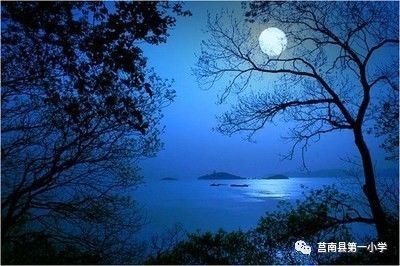 【潇湘文学社】潇湘紫竹诗社《随吟辑》(总212期)(图12)