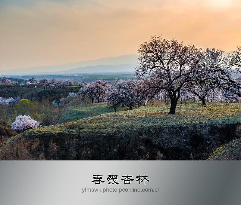 【潇湘文学社】潇湘紫竹诗社《随吟辑》(总212期)(图7)