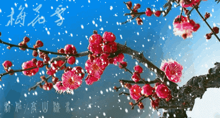 卫选民老师佳作欣赏！（图4）