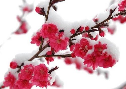 卫选民老师佳作欣赏！（图5）