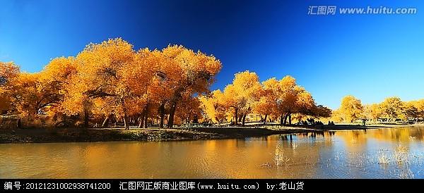 〔古诗词〕七绝十咏 胡杨林一一额济纳 作者 杜华（内蒙古杜华）【冰心文化传媒】（图10）