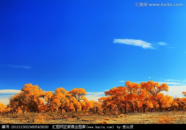 〔古诗词〕七绝十咏 胡杨林一一额济纳 作者 杜华（内蒙古杜华）【冰心文化传媒】（图8）