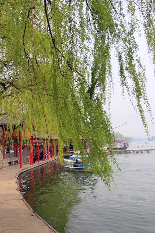 联机全球发布韩明华精品诗歌（图5）