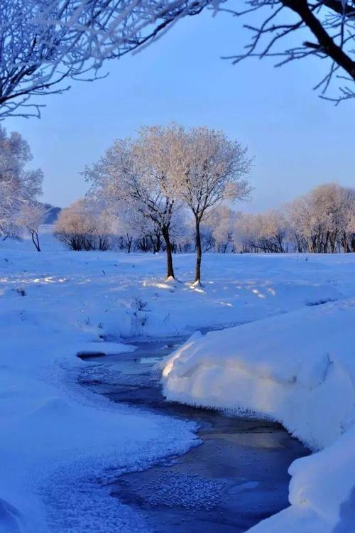 七律*雪后感怀 文/王清义（图2）