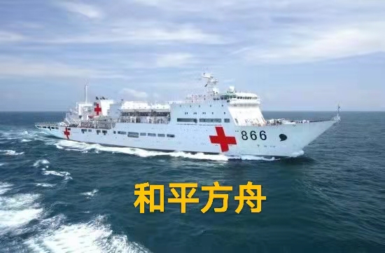 赞时代楷模——“和平方舟”（叙事散文诗）作者｜丁培恭｜海外头条（图3）