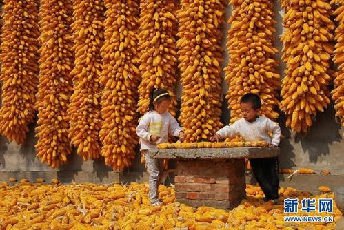 联机全球发布赵秀荣精品诗歌（图34）
