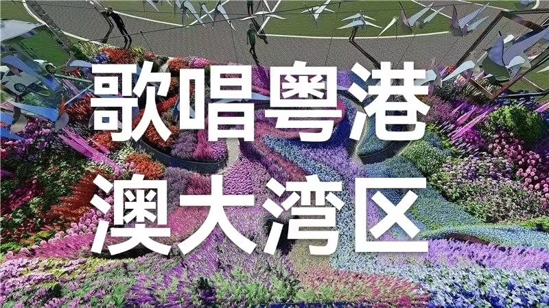 歌唱粤港澳大湾区:作者丁培恭|海外头条(图2)