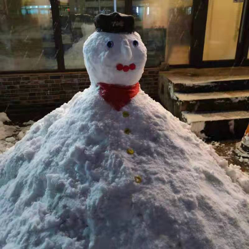 海内外现代诗人五人行：有声同题诗｜雪（10）作者｜姚京平｜婉柔｜玉兰｜刘羽｜火凤凰｜海外头条（图19）