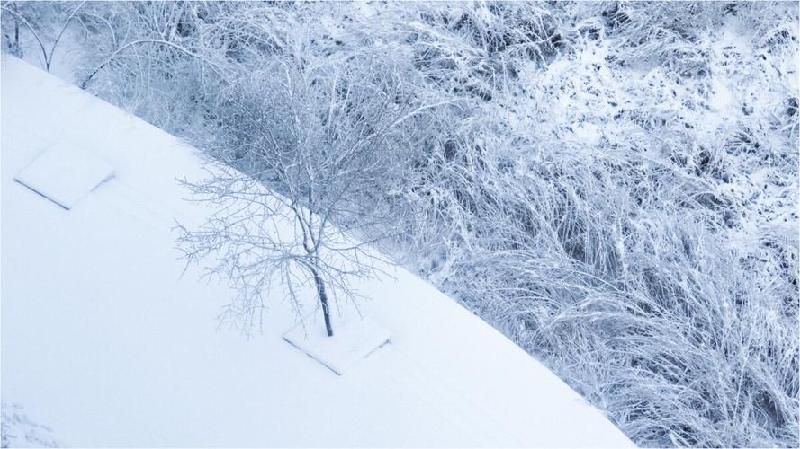 北美翰苑同题诗社ll（06）期＜现代诗歌合辑＞海外头条（图26）
