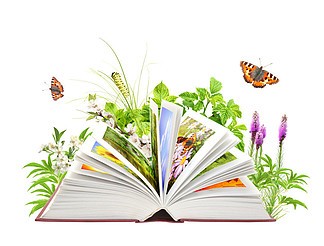 联机全球发布赵秀荣精品诗歌（图28）