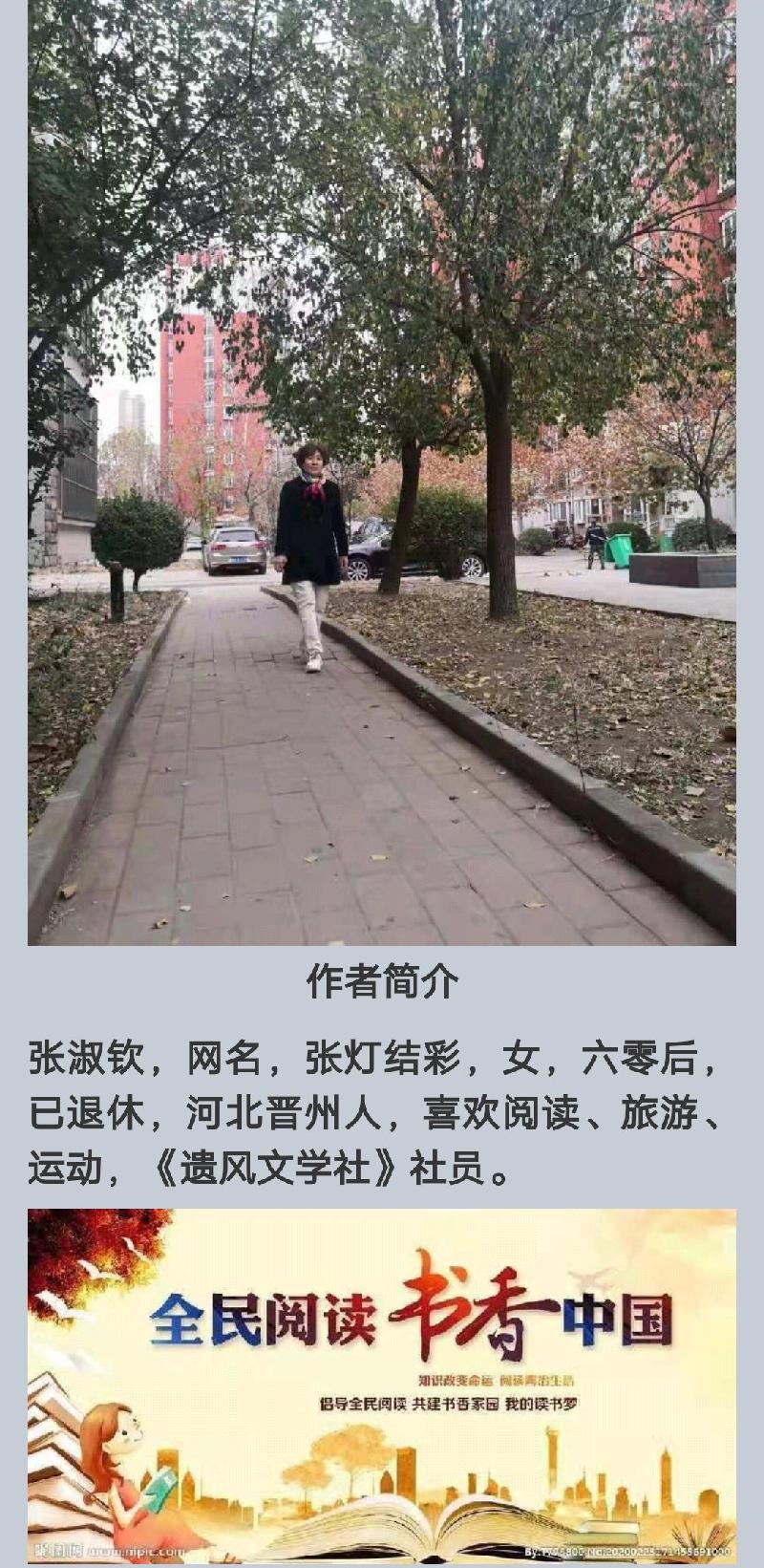 满江红 • 贺十九届六中全会召开 文/张灯结彩（中华通韵）（图4）
