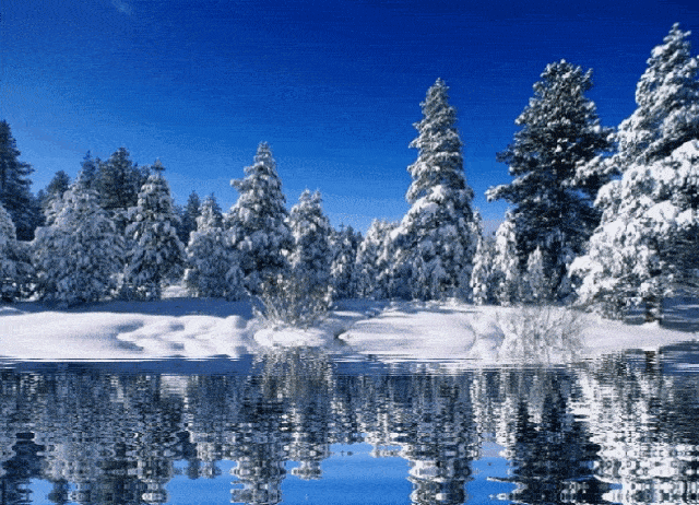 〔现代诗〕又见雪花飘飘 作者 翠竹长青 【冰心文化传媒 】（图6）