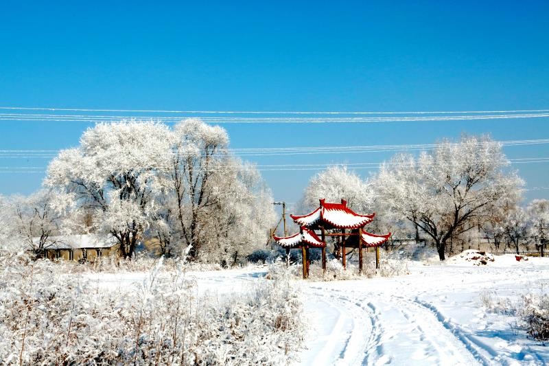 联机全球发布褚向平精品诗歌（图12）