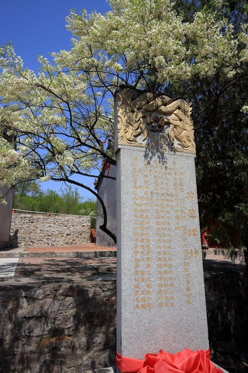 联机全球发布孙世元精品诗歌（图5）