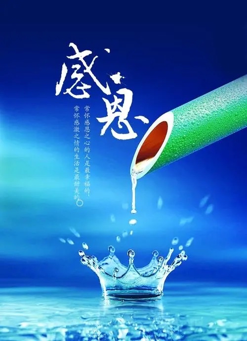 北美翰苑同题社｜周刊07期 ｜同题“感恩遐想”海外头条（图2）