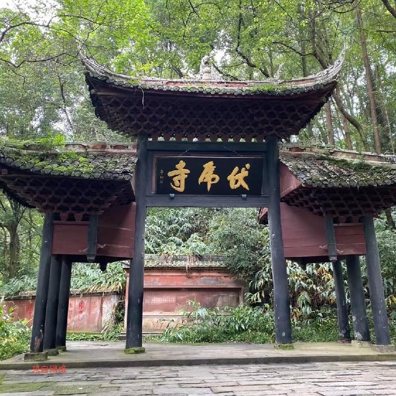 ［石岩磊］文游天下（208）峨眉山……莲叶之珠文学社（图11）