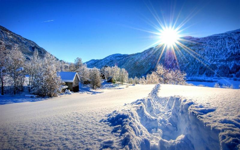 徐世臣《雪花》《盼》ll诗词览胜~哈尔滨头条（图6）