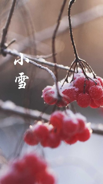 【桃源古韵】古韵唱和集‖作者:施性山老师【用1031期】(图6)