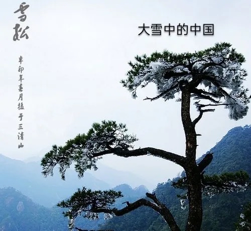 合诵:何琳尔·简美老师倾情演绎欧震 的精品佳作:大雪中的中国|海外头条(图2)