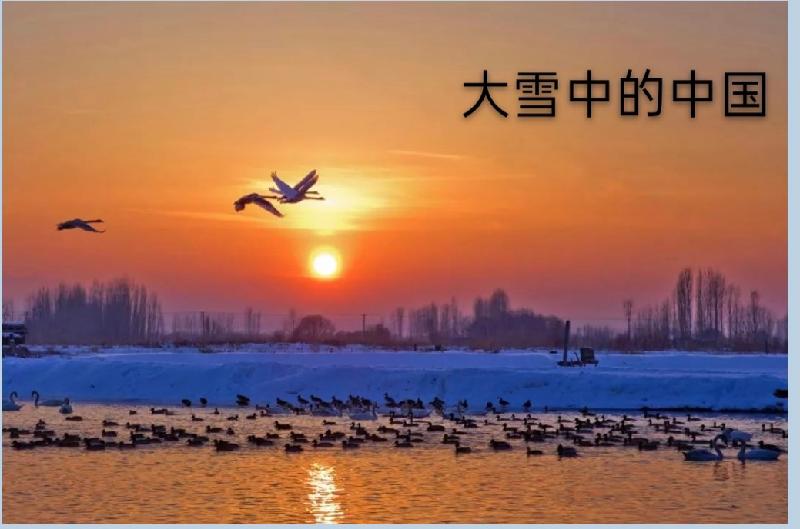 合诵:何琳尔·简美老师倾情演绎欧震 的精品佳作:大雪中的中国|海外头条(图7)