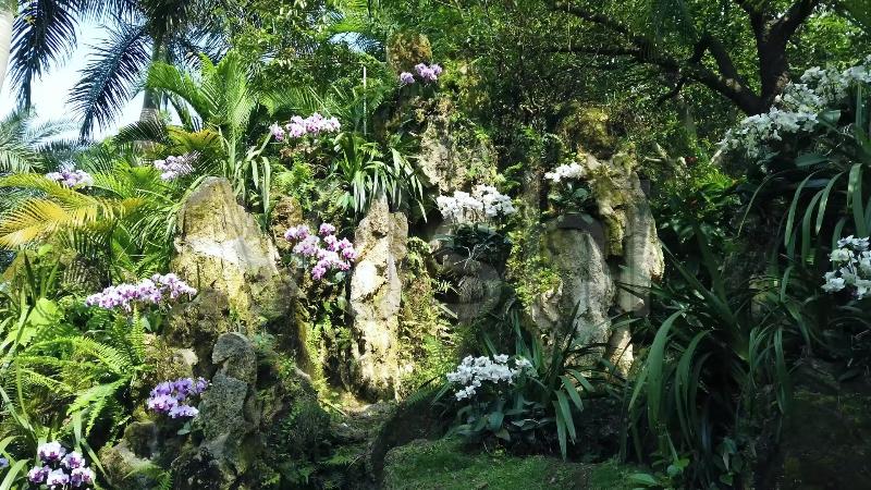 雪花飞·邕城小雪有感（外四首）作者 隆光诚 广西南宁【冰心文化传媒】（图3）