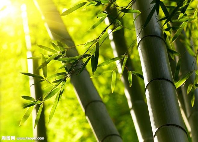 〔诗词小辑〕作者 徐荣峰(上海)【冰心文化传媒】(图7)