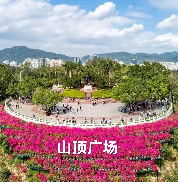 深圳莲花山公园|作者丁培恭|海外头条(图7)