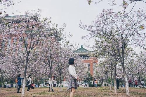 联机全球发布褚向平精品诗歌（图6）