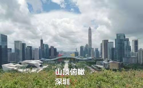深圳莲花山公园｜作者丁培恭｜海外头条（图9）
