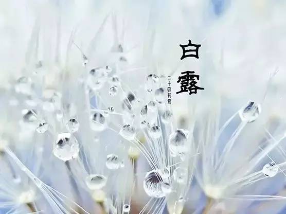 白露遐思（外一首）// 牛东