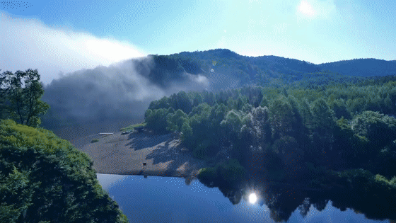 073601851.gif ce77f19ac96fb9594521db3bba18e07e_00301229121_f0c8c7a3.gif