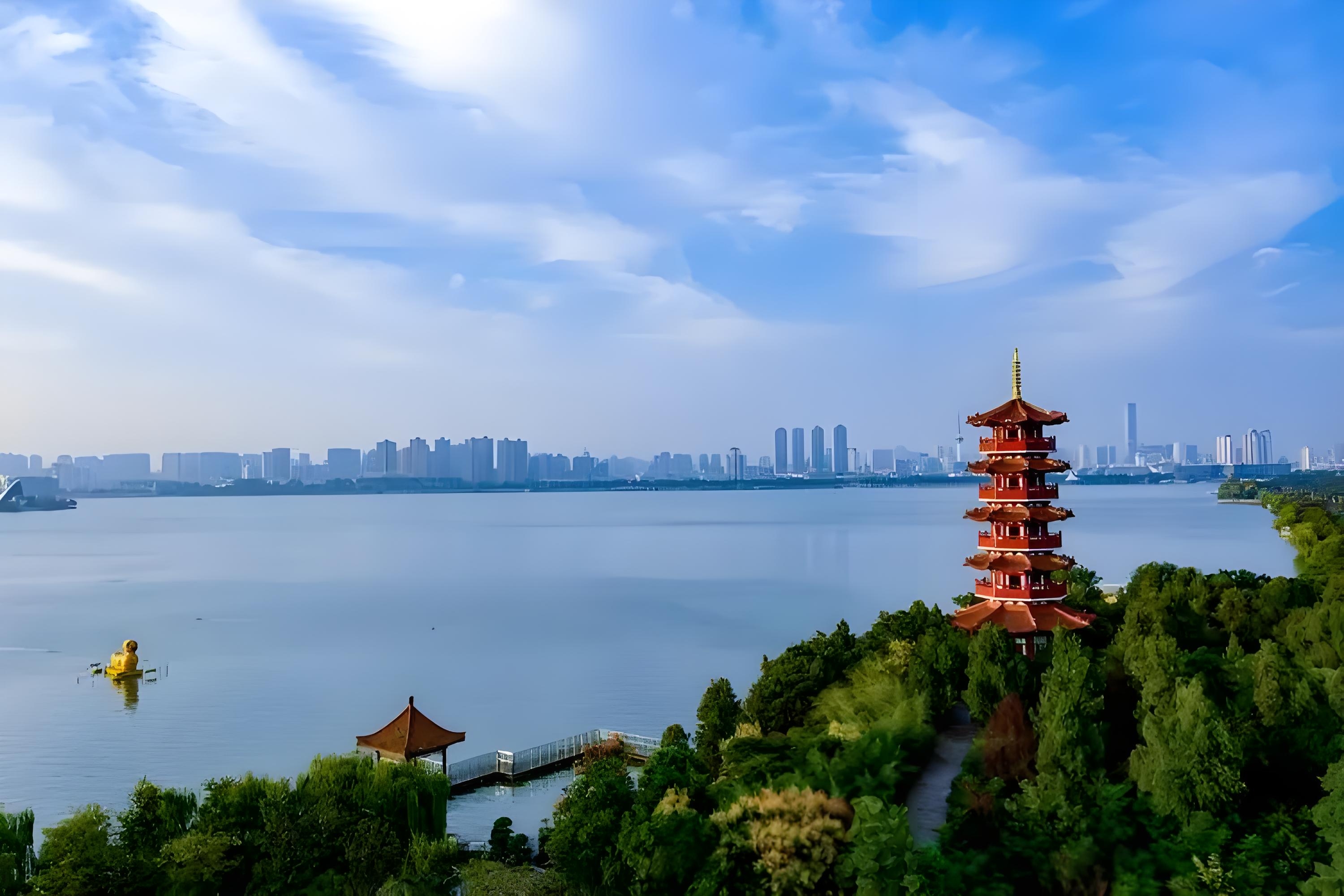 同题诵《因为喜欢》 作者:月下草(图12)