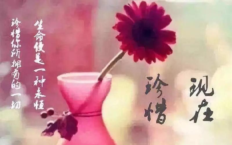 我以为（外一首） 雪峰清雅〔湖南〕【冰心文化传媒】（图3）