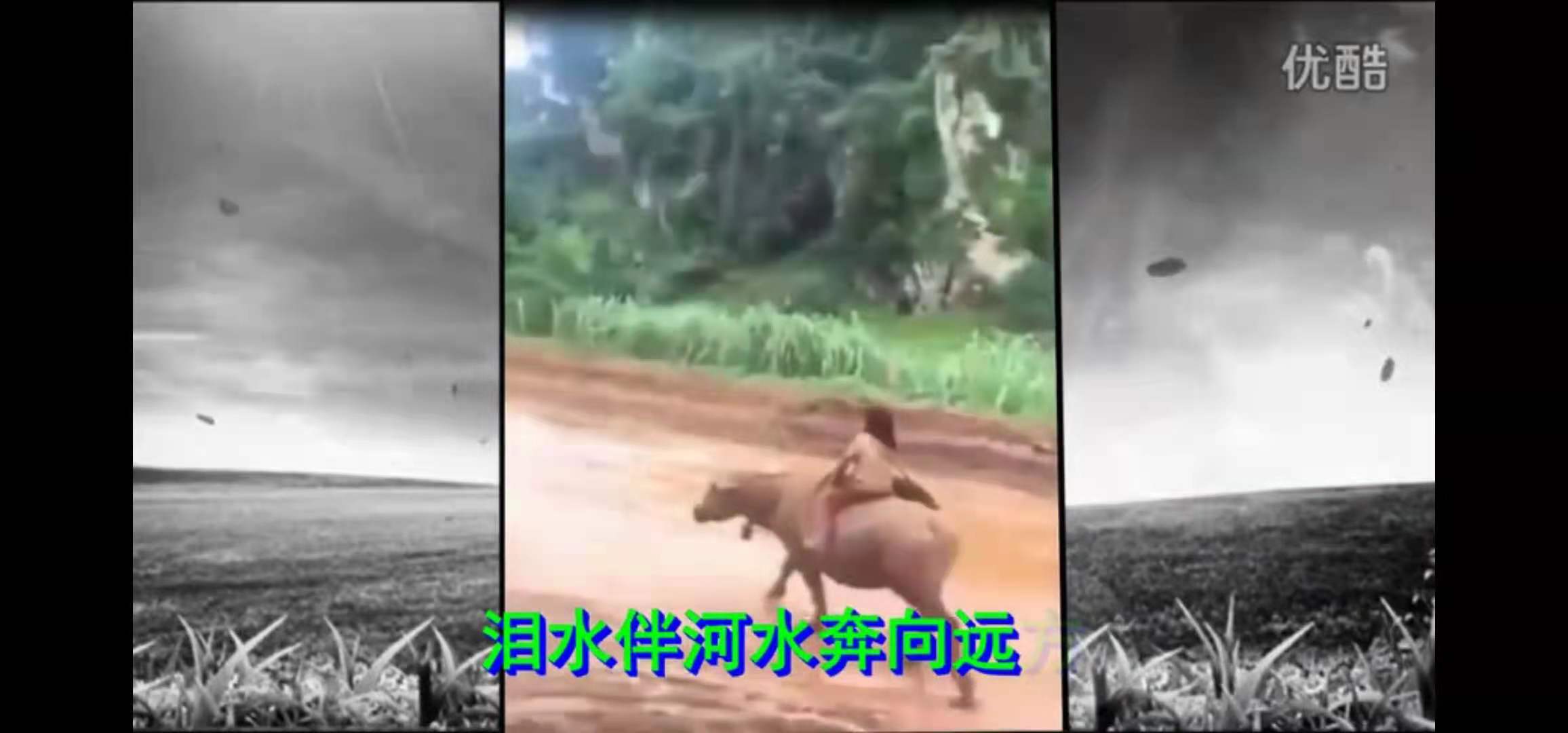 1628596050525032401.jpg 寰俊鍥剧墖_20210810194541.jpg