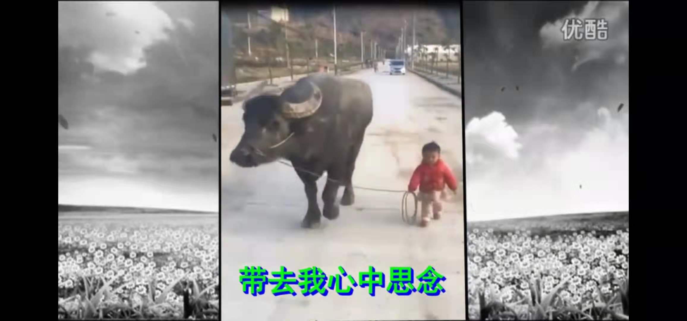 1628596057060081501.jpg 寰俊鍥剧墖_20210810194546.jpg