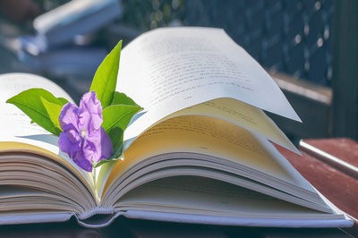 住在回忆里的女人（外四首）作词/刘志军（河北）【冰心文化传媒】（图3）
